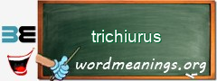WordMeaning blackboard for trichiurus
